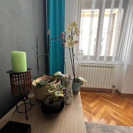 Apartment Djana *